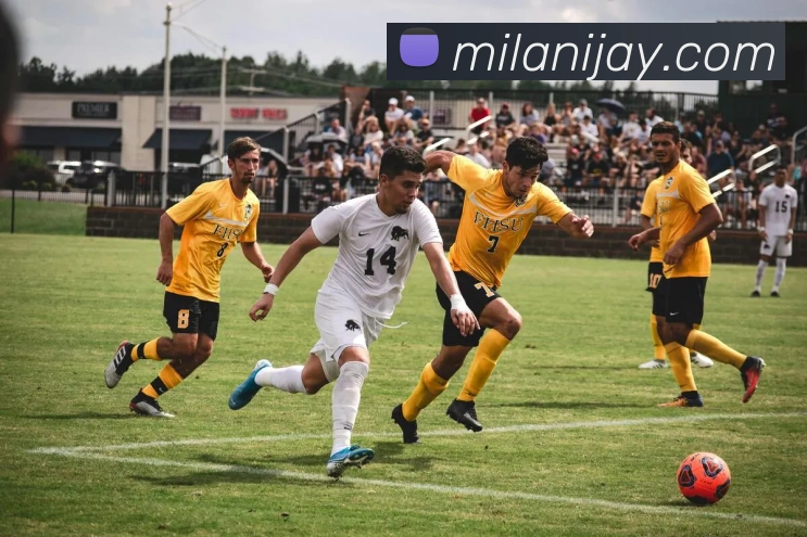 米兰体育服务体系